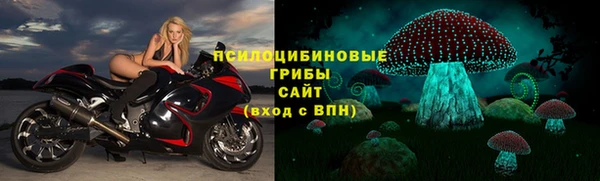 сатива Алексин